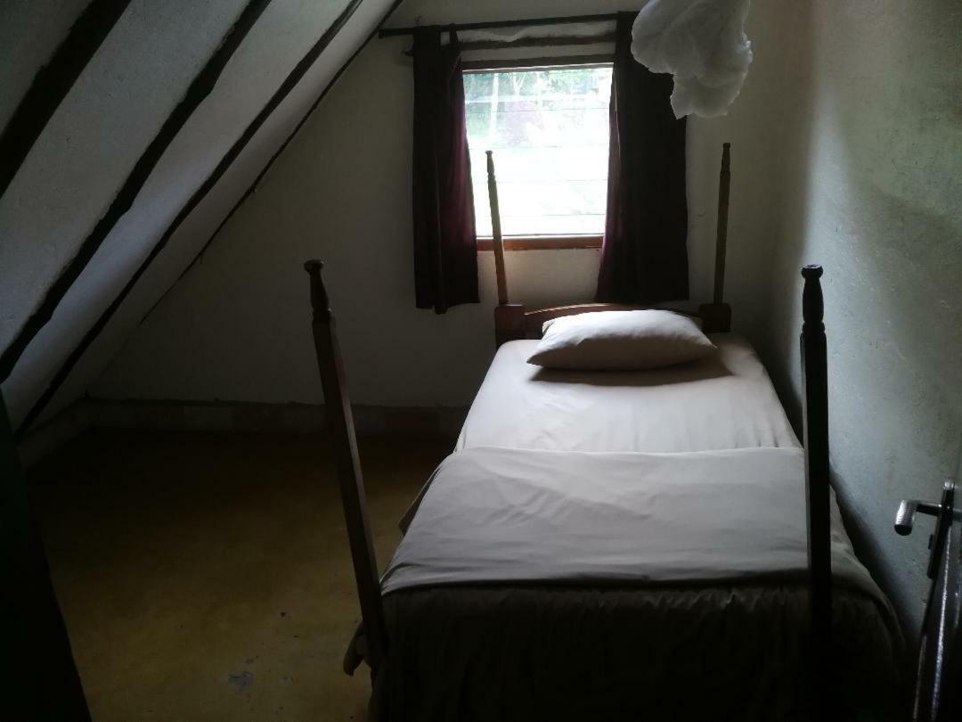 The Haven Hotell Jinja Eksteriør bilde